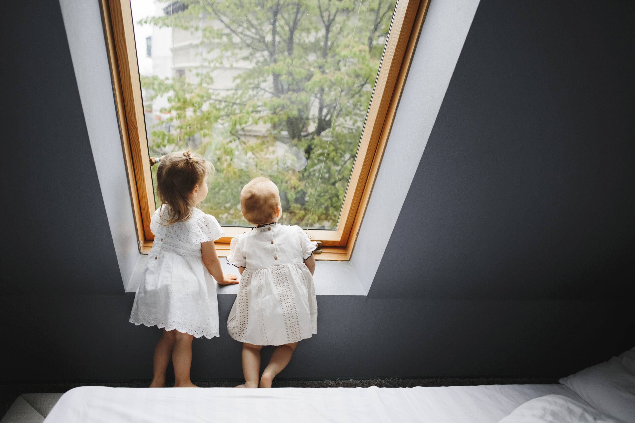 velux Une pose maîtrisée par un professionnel de la toiture